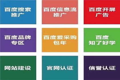 案例剖析：托管竞价SEM助力业绩提升